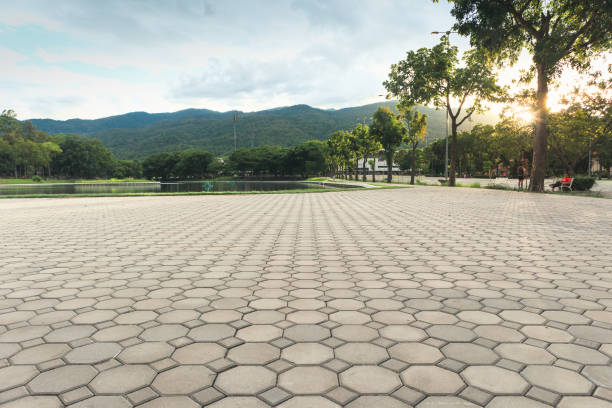 Professional Driveway Pavers in Yuba City, CA