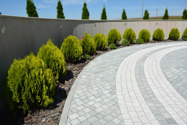 Reasons to Select Us for Your Driveway Paving Requirements in Yuba City, CA